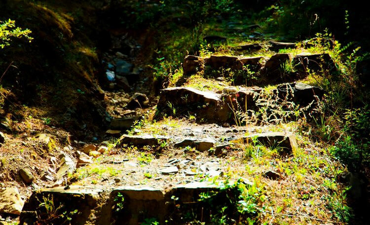 麗江拉市海茶馬古道至文海輕徒步路線(xiàn)兩天一晚露營(yíng)季